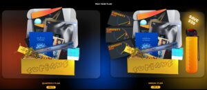 Curiosity Box - Quarterly Plan